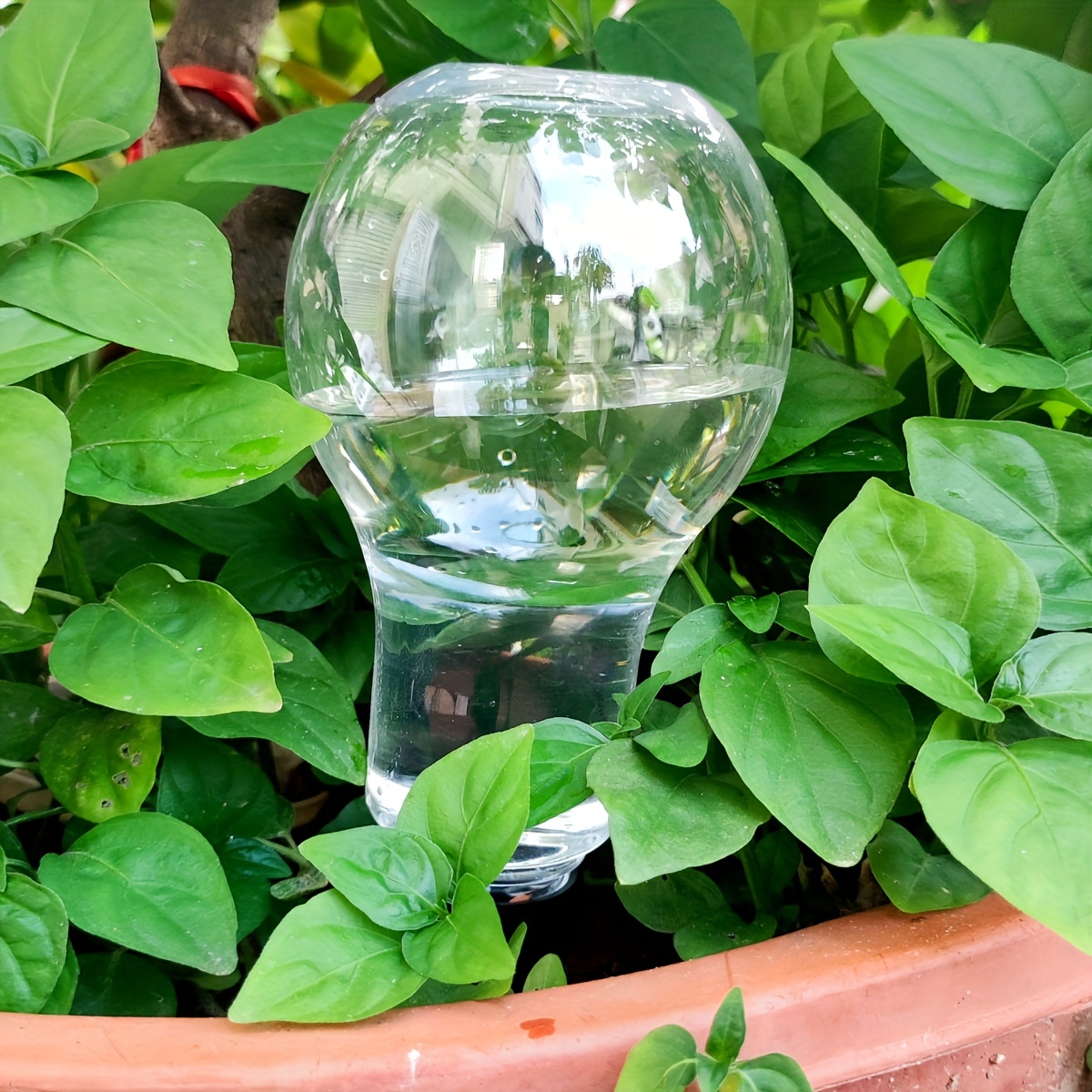 Alat penyiraman otomatis taman - Smart Garden Watering ulasan dan harga