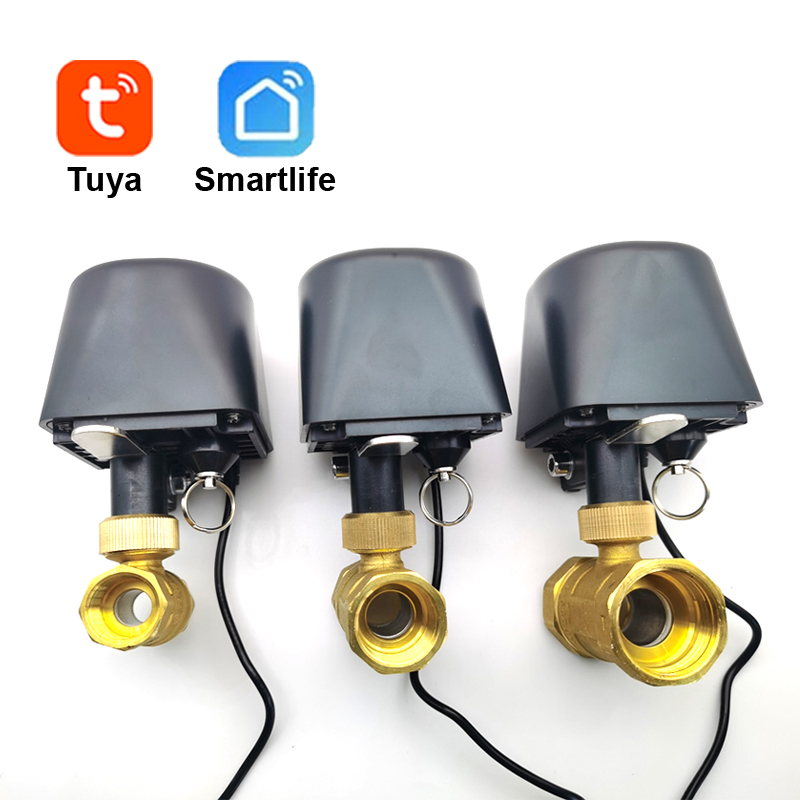 Tuya WiFi atau Zigbee Katup Ai - Smart Garden Tap ulasan dan harga